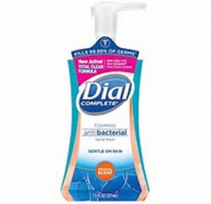 DIAL ANTIBACTERIAL SOAP 1/EA