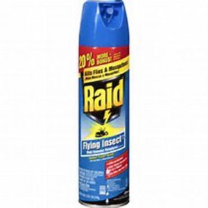 RAID INSECT KILLER AEROSOL 1/EA